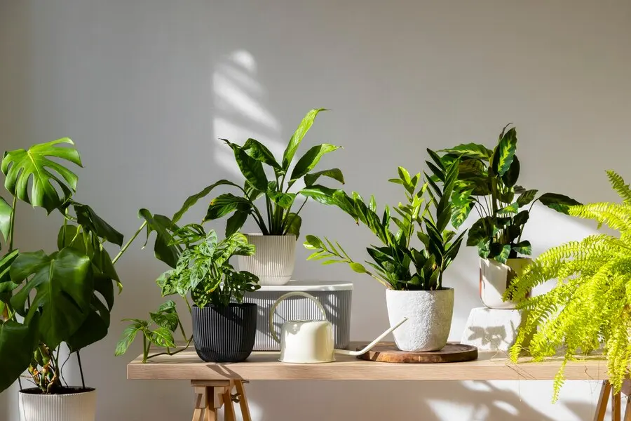 Plantas-que-Mejoran-la-Eficiencia-Energetica